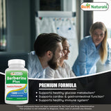 Best Naturals Berberine Plus – ingrédients sans arômes artificiels ni sucre.