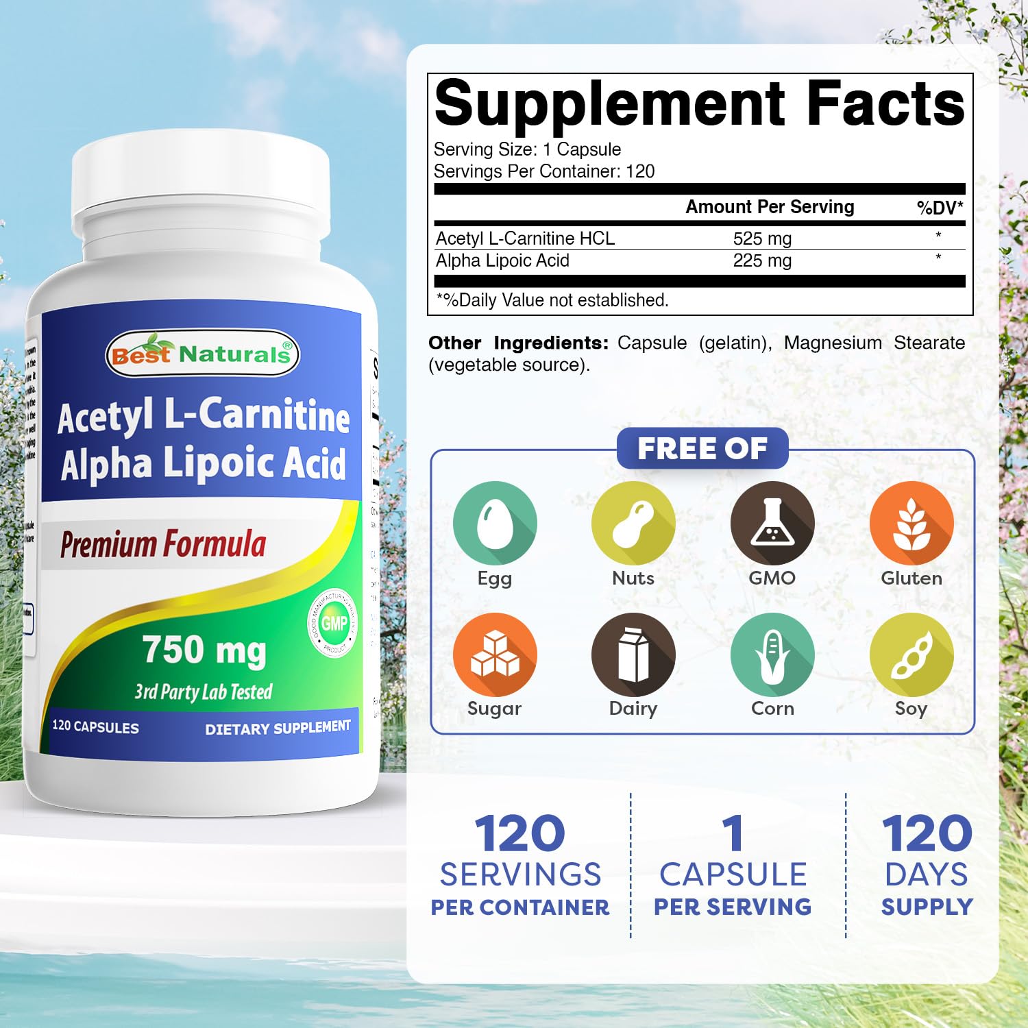 Best Naturals gélules Acétyl-L-Carnitine et Acide Alpha-Lipoïque, faciles à prendre.