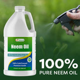 Soin pelage et peau sensibles avec l'huile neem Best Naturals pour animaux.