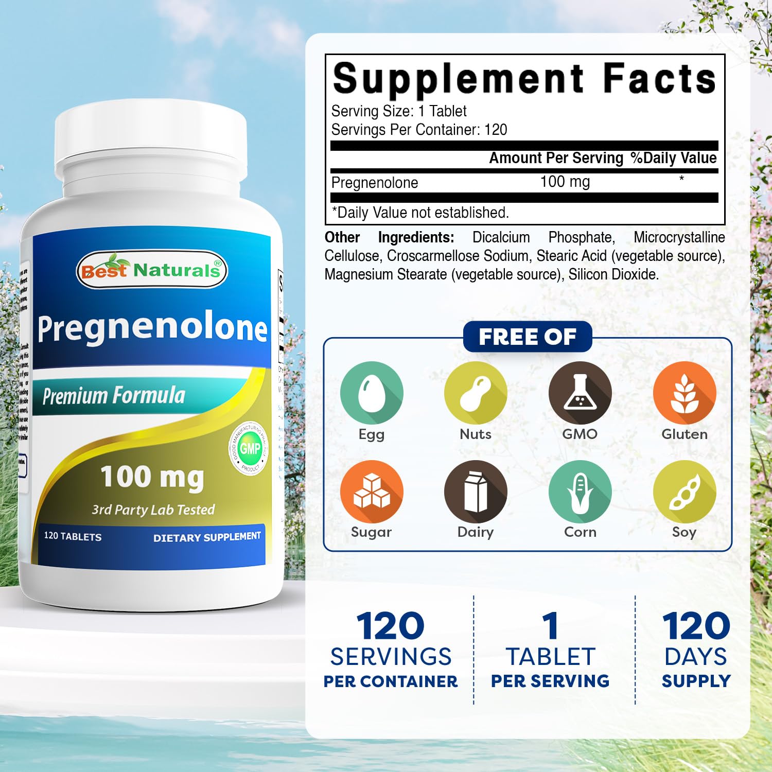 Best Naturals Pregnenolone: dosage quotidien clair, pour routines personnelles.