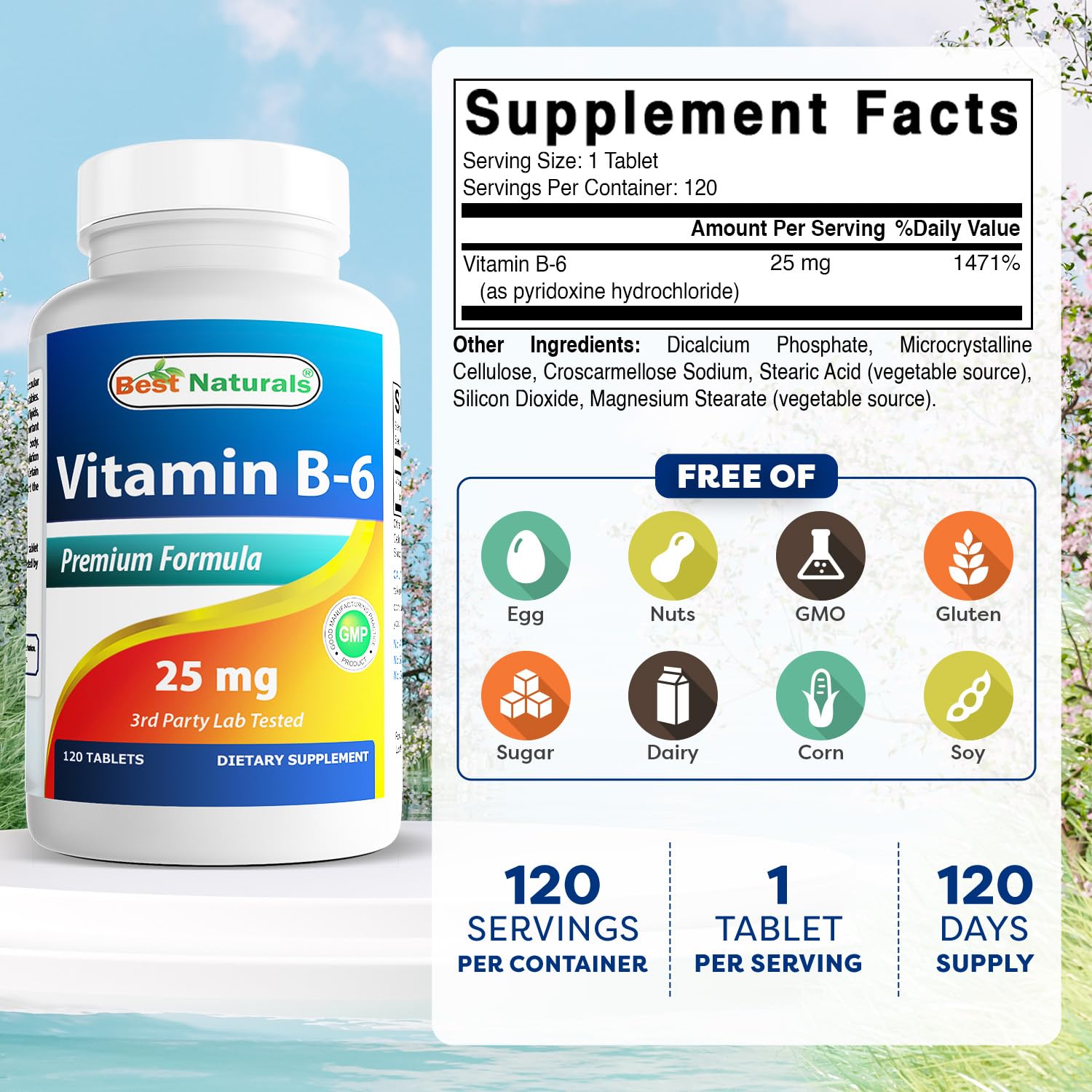 Best Naturals Vitamine B6 25mg – tablettes posées, format pratique pour routine.