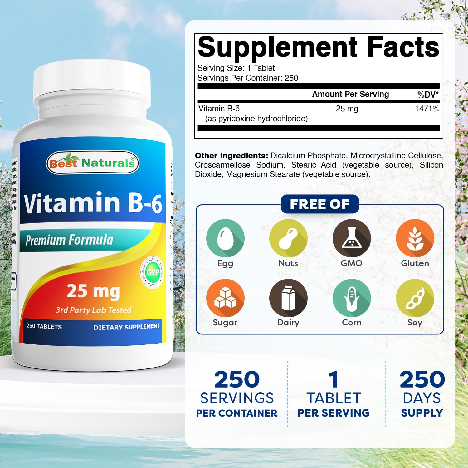 Best Naturals Vitamine B-6 25 mg, tablettes quotidiennes, aide possible à réguler l'homocystéine.