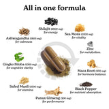 Better Alt Ginkgo Biloba – capsules, circulation et oxygénation améliorées.