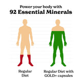 Better Alt Panax Ginseng – capsules, énergie soutenue et concentration.