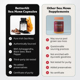 Better Alt poudre d'ashwagandha pour le bien-être quotidien
