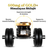 Better Alt Shilajit Gold – Ashwagandha et Safed Musli, ingrédients clés.