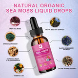 Compte-gouttes Sea Moss Beworths indiquant une absorption rapide.