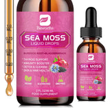 Gouttes Sea Moss Beworths dans un flacon pratique pour usage quotidien.