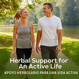 Mélange d’herbes duo — flacon B-Experts, potentiel soutien hépatique.