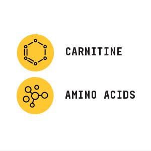 BEYOND RAW L-Carnitine Poudre associée à BEYOND RAW Chemistry Labs