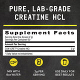 BEYOND RAW Creatine HCl – formule sans gluten pour une utilisation quotidienne.