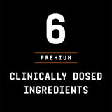 BEYOND RAW DTF : sceau de qualité et fondement scientifique.