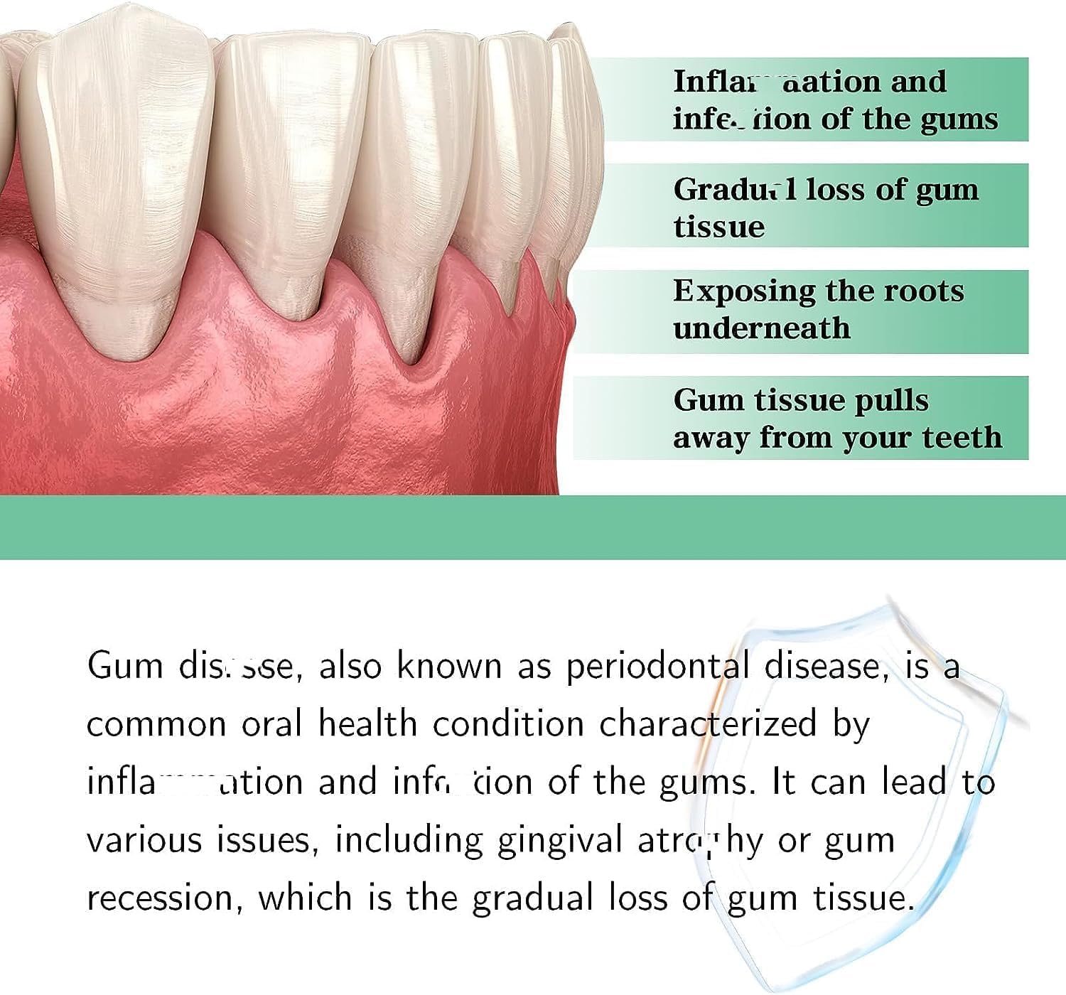 Format compact Denti-Zen idéal en déplacement.
