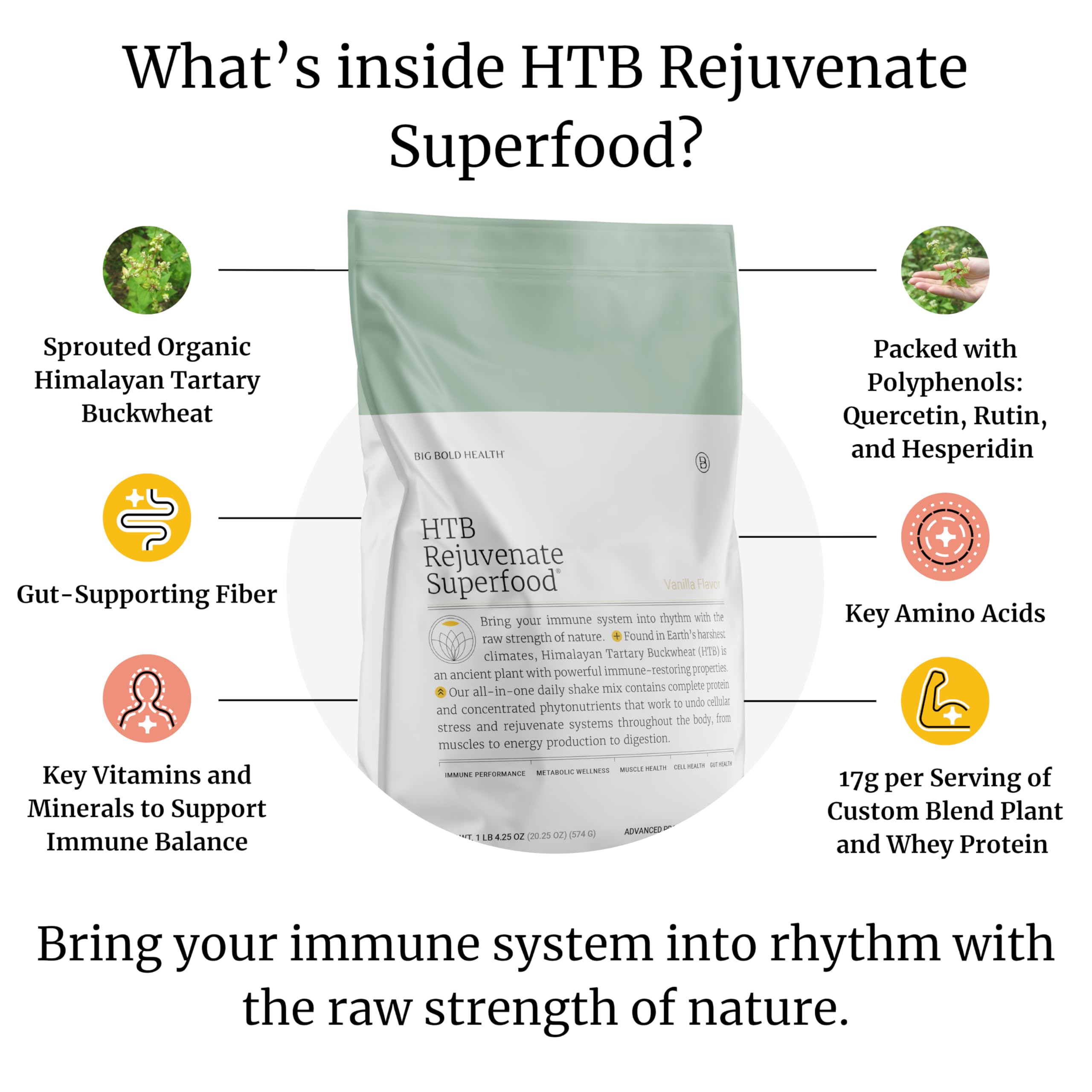 Poudre vanillée HTB Rejuvenate pour des préparations lisses et appétentes.