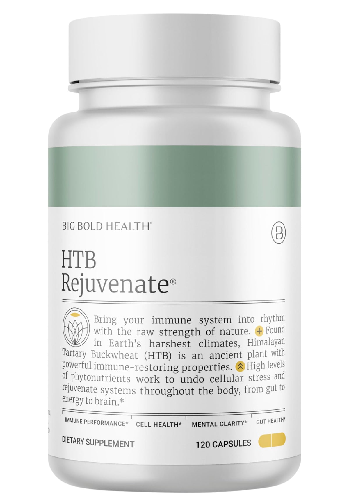 BIG BOLD HEALTH HTB Immune Rejuvenate — bouteille prête pour le soutien potentiel du système immunitaire.