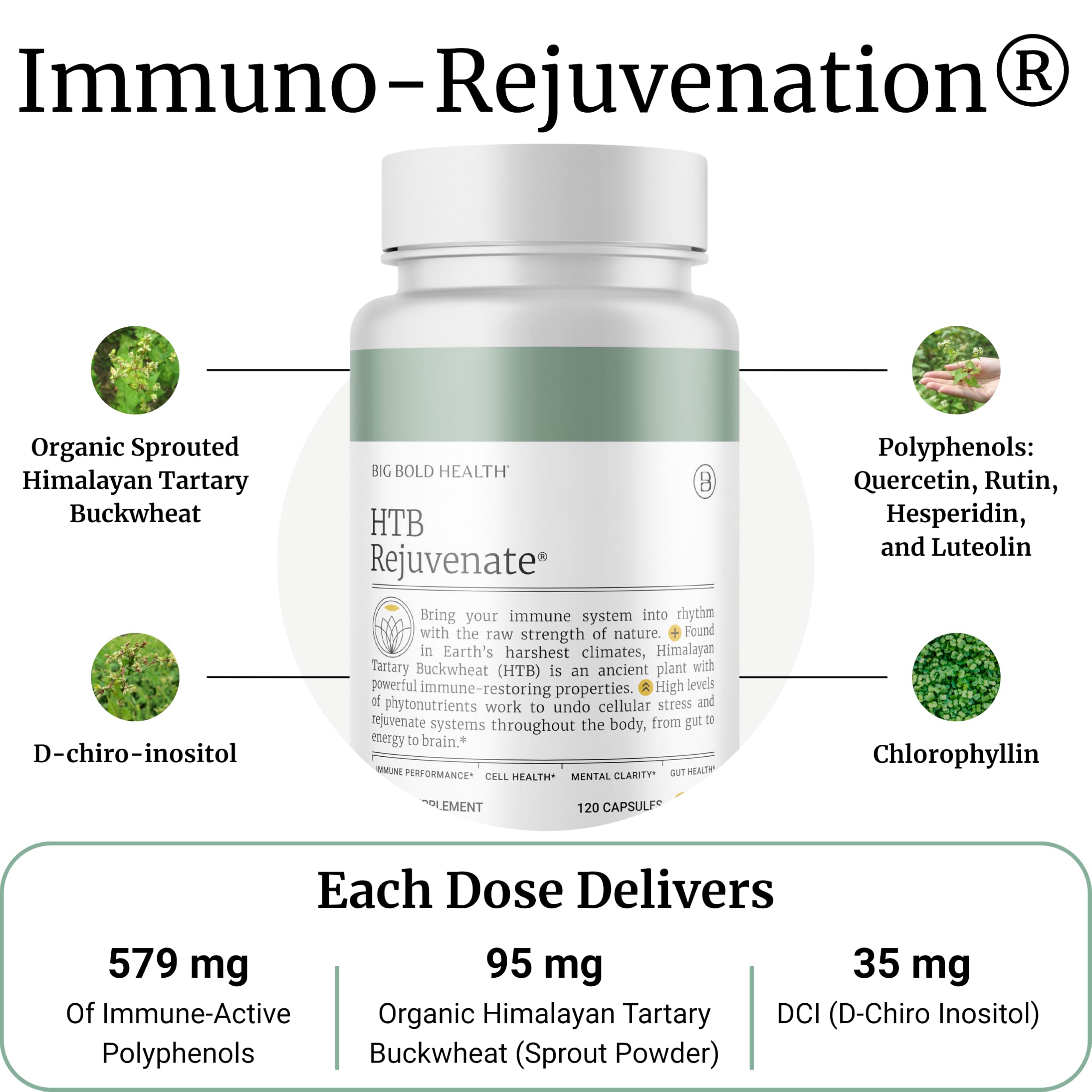 Étiquette du HTB Immune Rejuvenate affichant polyphénols et ingrédients clés.