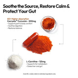 BIGVITA CoCrystal Curcumin+ graphique d’absorption illustrant une meilleure biodisponibilité