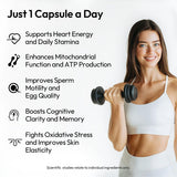 BIGVITA ubiquinol capsules, capsules faciles à avaler pour énergie soutenue.