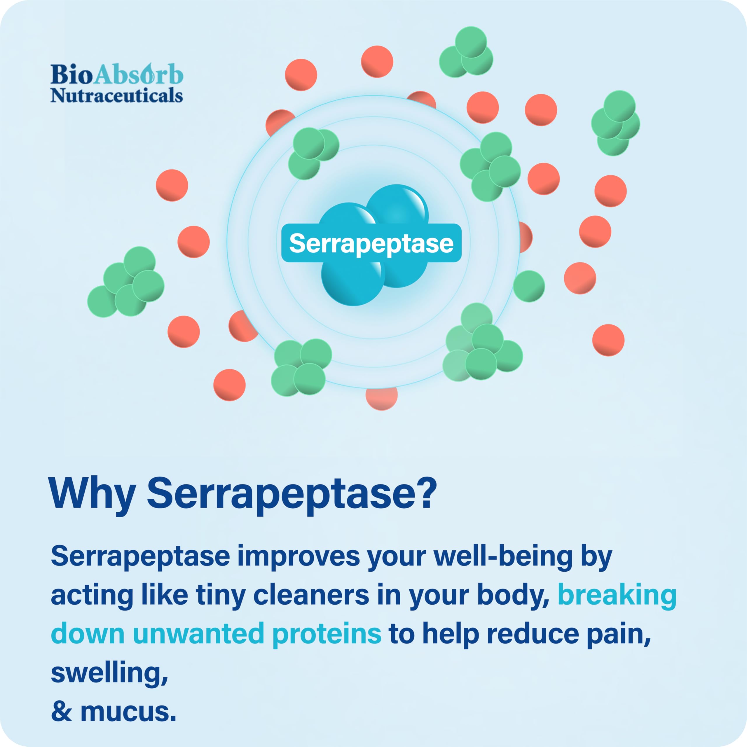 Bio Absorb Serrapeptase: ingrédients naturels sélectionnés et traçabilité.