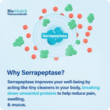 Bio Absorb Serrapeptase: ingrédients naturels sélectionnés et traçabilité.