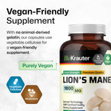 BIO KRAUTER Lions Mane, sans charges ni additifs, formulation simple et efficace