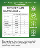 BIO VITALICA gommes champignons saveur fruitée pour énergie quotidienne.