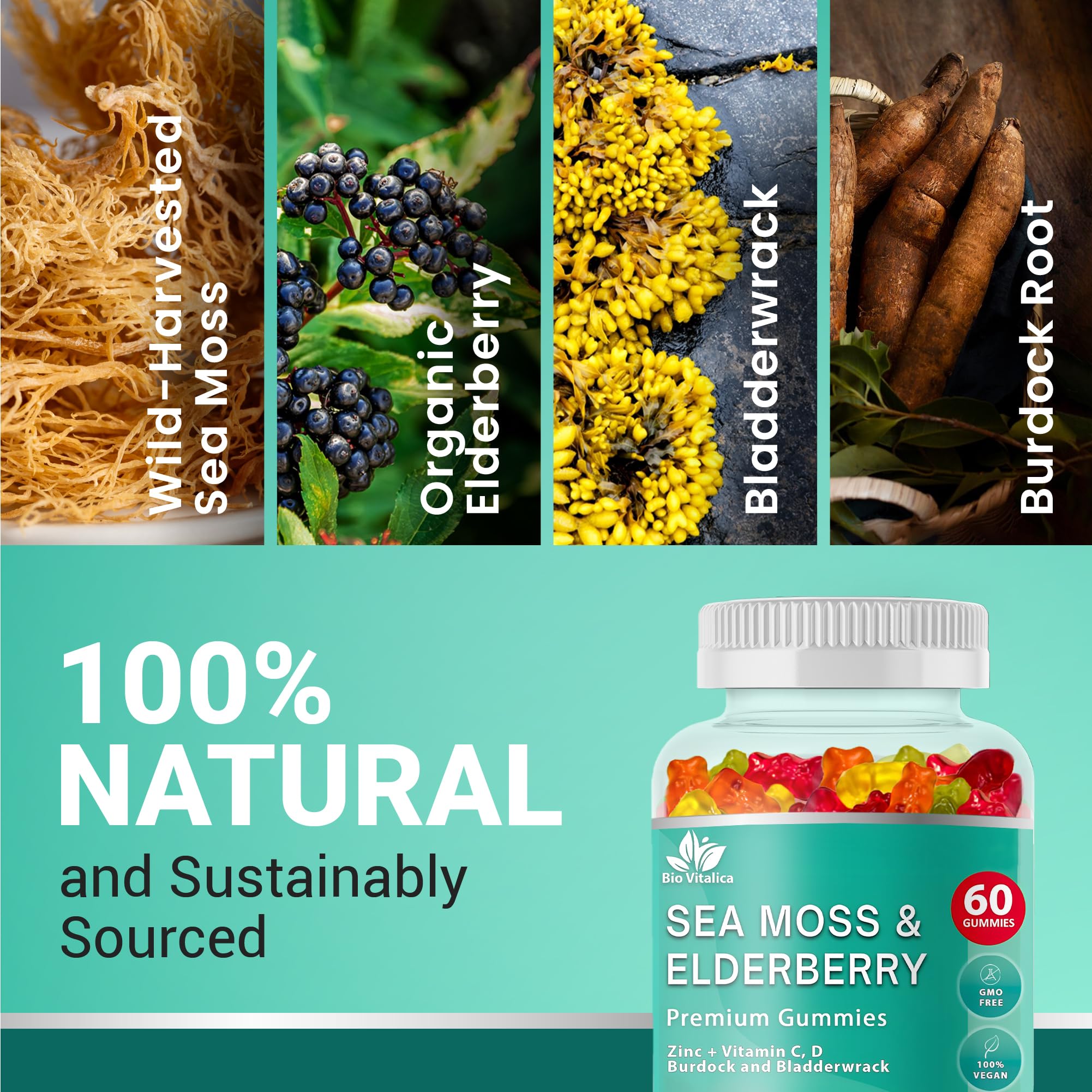 BIO VITALICA sureau et vitamines C, D et zinc, idéal pour l’énergie quotidienne.
