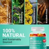BIO VITALICA sureau et vitamines C, D et zinc, idéal pour l’énergie quotidienne.