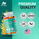 Texture agréable et dosage pratique des gommes BIO VITALICA au quotidien.