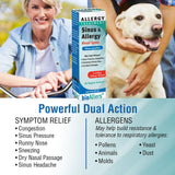 BioAllers bouteille spray nasal, format compact idéal pour déplacements.