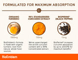 BioEmblem Extrait 95% curcuminoïdes pour une concentration élevée.