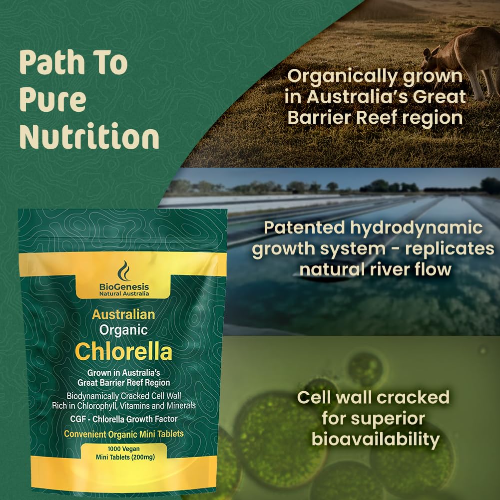 Biogenesis Chlorella mini-tablettes énergie et immunité potentielles.