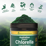 Biogenesis chlorella poudre dose journalière – simplicité et régularité.