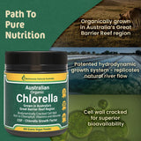 Biogenesis chlorella poudre paroi biodynamique – absorption accrue.