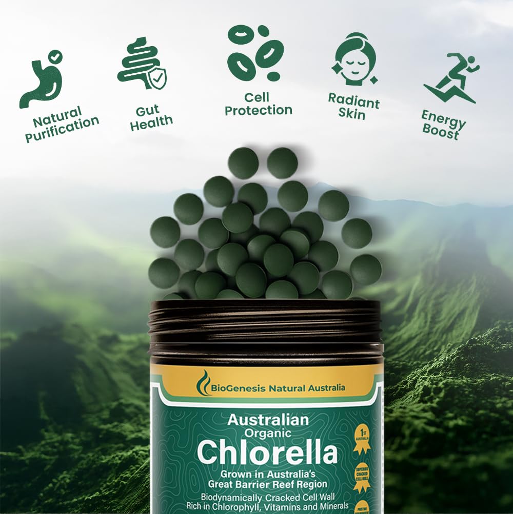 Biogenesis Chlorella – détail montrant paroi craquée, biodynamique pour absorption améliorée.