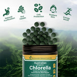 Biogenesis Chlorella – détail montrant paroi craquée, biodynamique pour absorption améliorée.