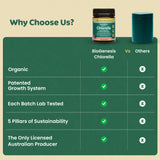 Biogenesis Chlorella, paroi cellulaire fissurée biodynamique pour meilleure assimilation.