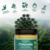 Biogenesis Chlorella, vitamine B12 et fer pour le soutien nutritionnel.