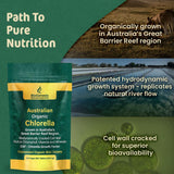 Biogenesis Chlorelle – contrôle qualité en laboratoire pour pureté et sécurité.