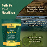Biogenesis Spiruline mini-tablettes détail phycocyanine et pigments naturels.