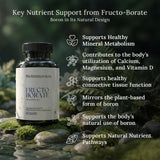 BioImmersion Fructo Borate Complex – Capsule transparente ou blanche, présentation simple et claire.