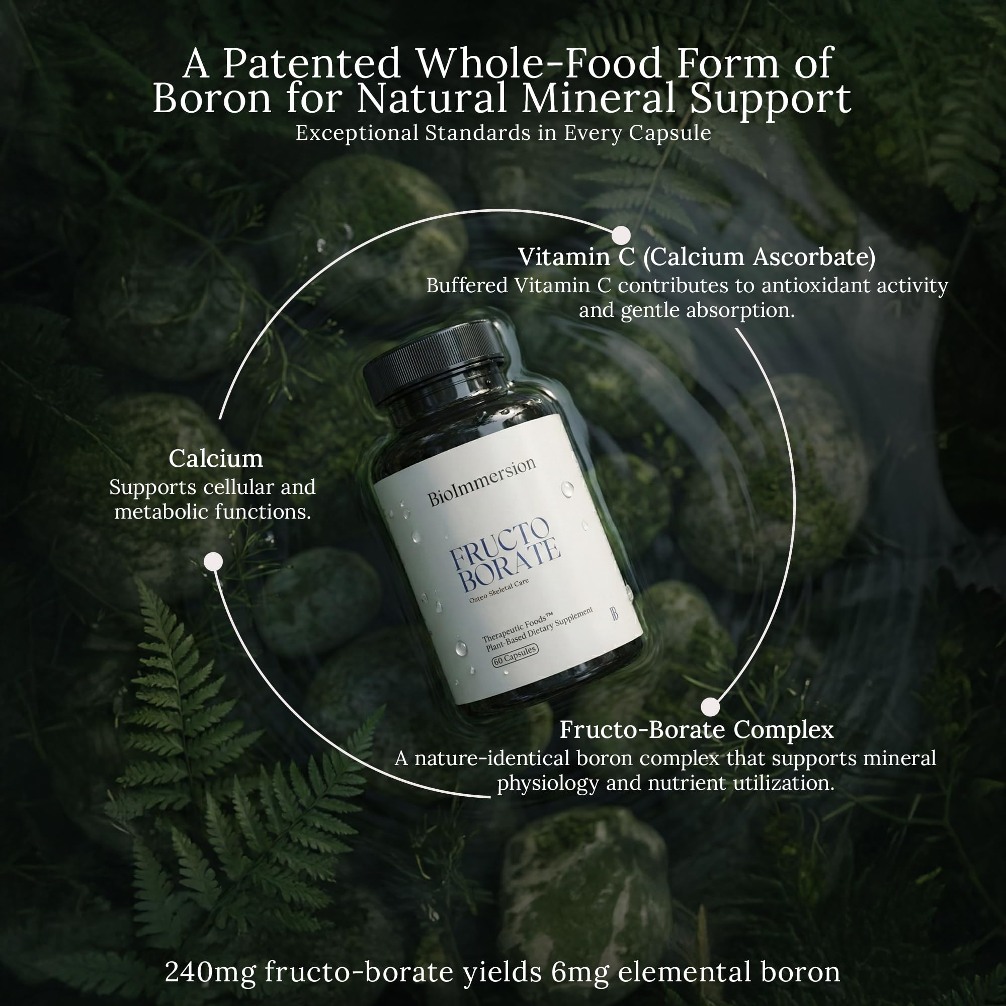 BioImmersion Fructo Borate Complex – Gélules végétales, sans allergènes majeurs, facilité d'utilisation.