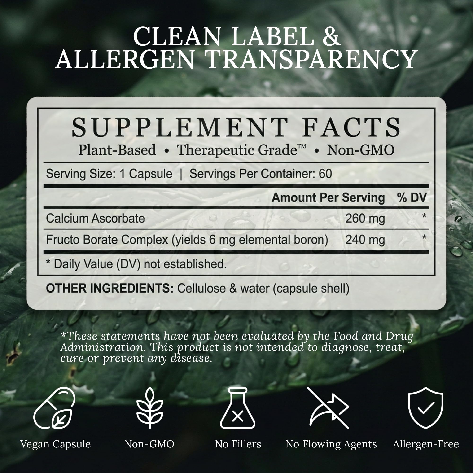 BioImmersion Fructo Borate Complex – Mise en scène dans votre routine quotidienne.
