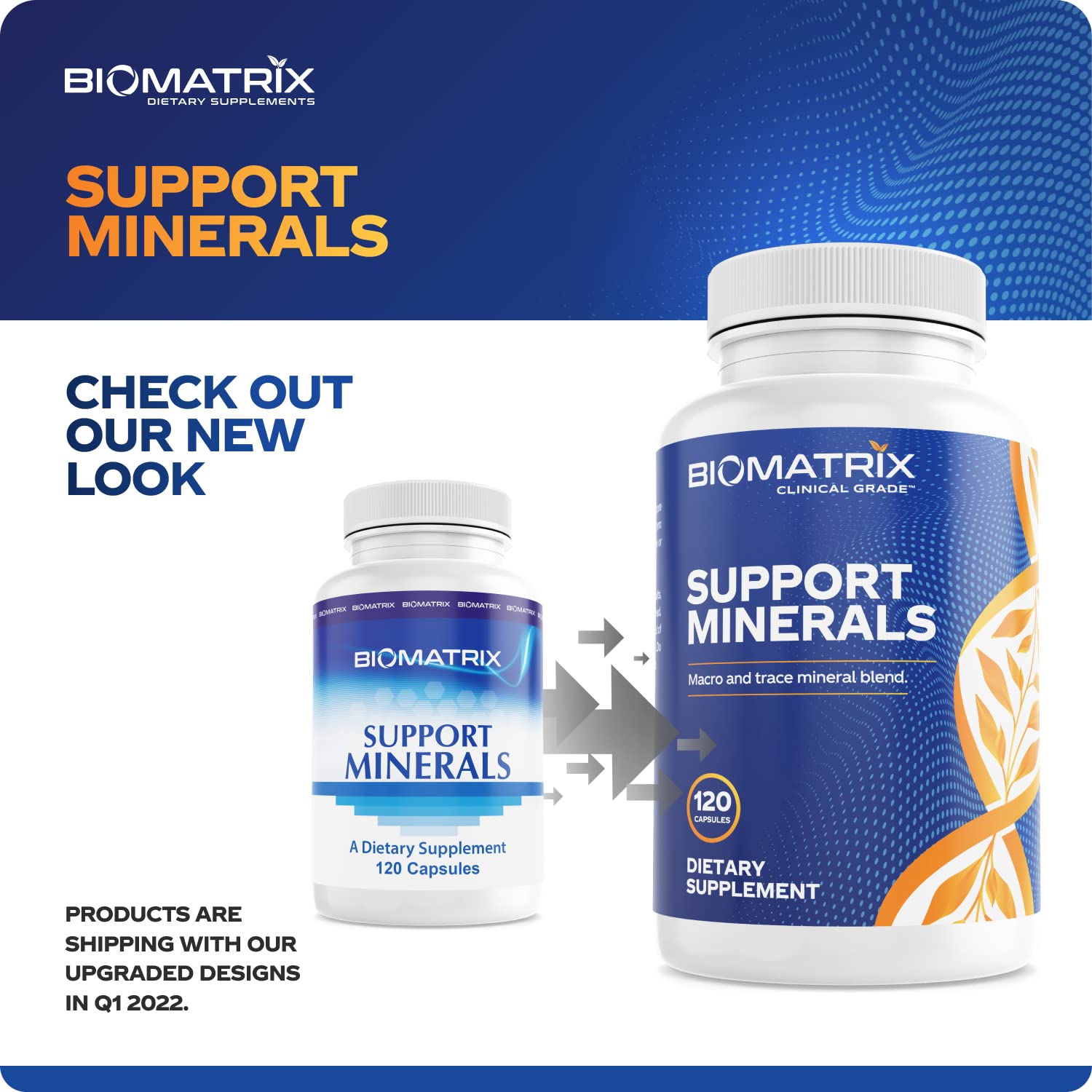 BioMatrix améliore l'absorption minérale grâce à des cofacteurs.