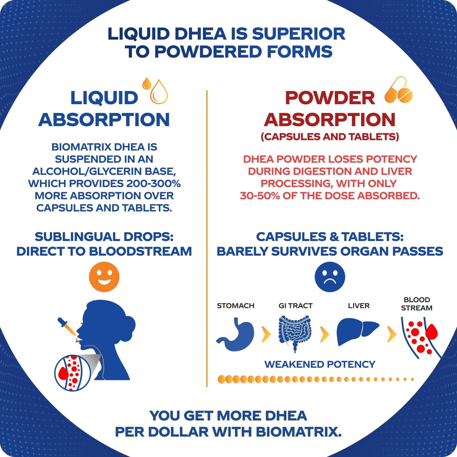 Utilisation quotidienne BioMatrix DHEA: goutte du matin.