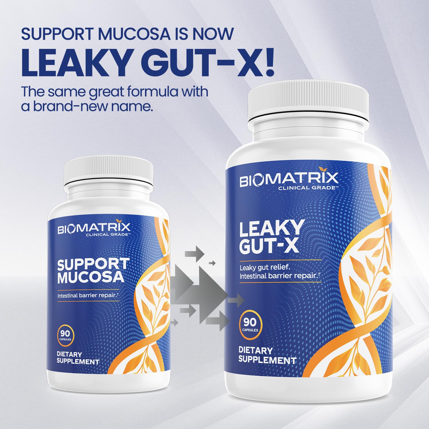 BioMatrix Leaky Gut-X, capsules veggie visibles, formulation adaptée au confort digestif potentiel.
