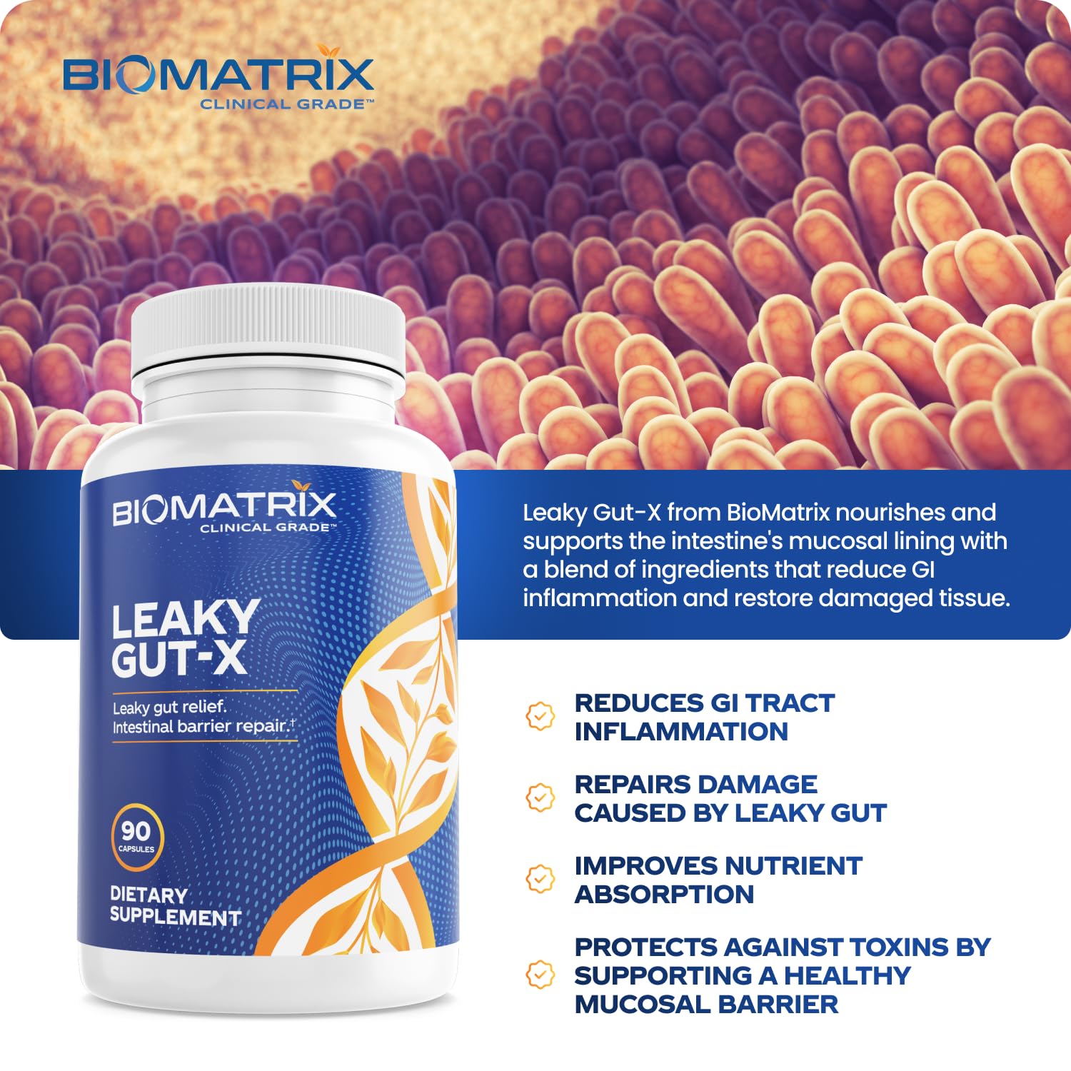 BioMatrix Leaky Gut-X, dose quotidienne prête, routine simple et rassurante.