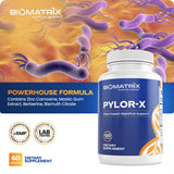BioMatrix Pylor-X schéma intestin, aperçu des effets sur l'équilibre digestif