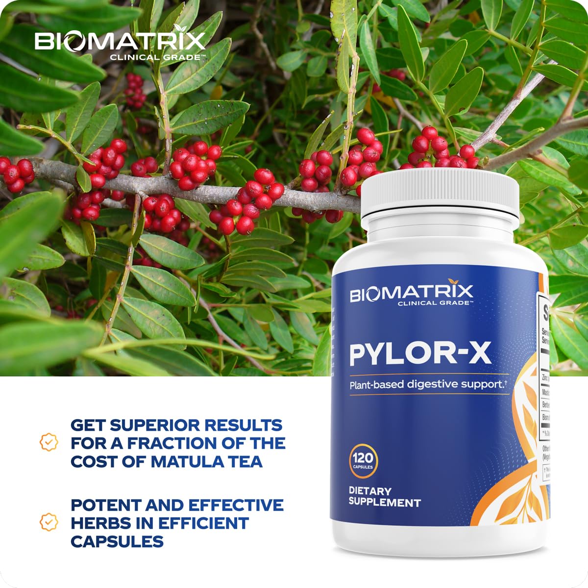 BioMatrix Pylor-X usage quotidien, démonstration d'intégration simple dans la routine