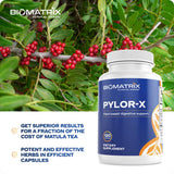 BioMatrix Pylor-X usage quotidien, démonstration d'intégration simple dans la routine